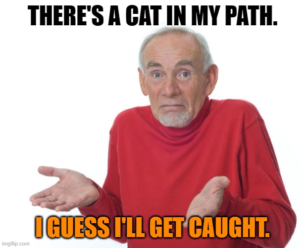 He knows his priorities | THERE'S A CAT IN MY PATH. I GUESS I'LL GET CAUGHT. | image tagged in guess i ll die,true story,cat,arrested | made w/ Imgflip meme maker
