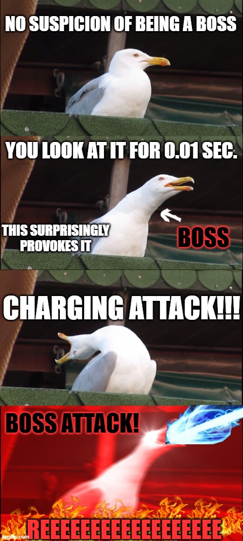 If Game Developers had Seagulls | NO SUSPICION OF BEING A BOSS; YOU LOOK AT IT FOR 0.01 SEC. THIS SURPRISINGLY PROVOKES IT; BOSS; CHARGING ATTACK!!! BOSS ATTACK! REEEEEEEEEEEEEEEEEE | image tagged in memes,inhaling seagull | made w/ Imgflip meme maker