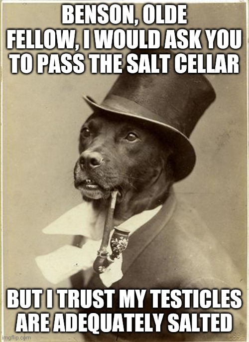 Old Money Dog | BENSON, OLDE FELLOW, I WOULD ASK YOU TO PASS THE SALT CELLAR; BUT I TRUST MY TESTICLES ARE ADEQUATELY SALTED | image tagged in old money dog | made w/ Imgflip meme maker