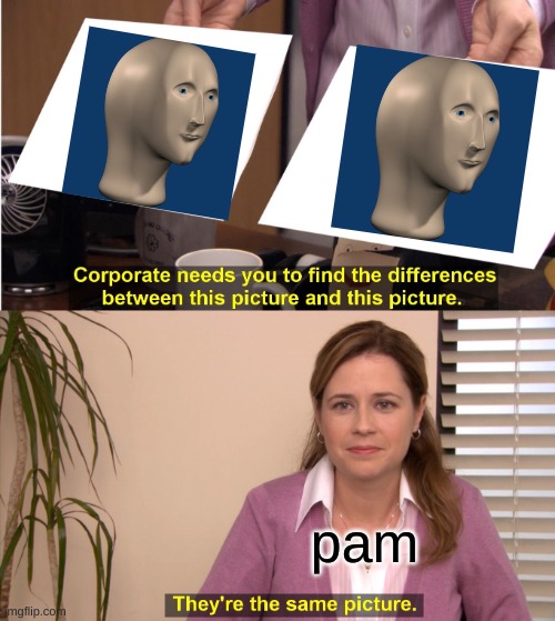 they are the same picture | pam | image tagged in memes,they're the same picture | made w/ Imgflip meme maker