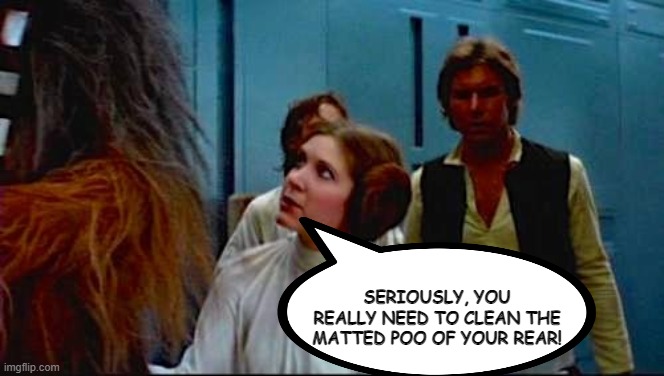 Dirty Wookie Arse | SERIOUSLY, YOU REALLY NEED TO CLEAN THE MATTED POO OF YOUR REAR! | image tagged in walking carpet star wars wookie | made w/ Imgflip meme maker