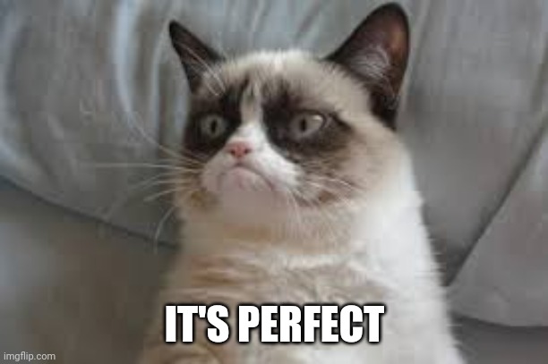 Grumpy cat | IT'S PERFECT | image tagged in grumpy cat | made w/ Imgflip meme maker
