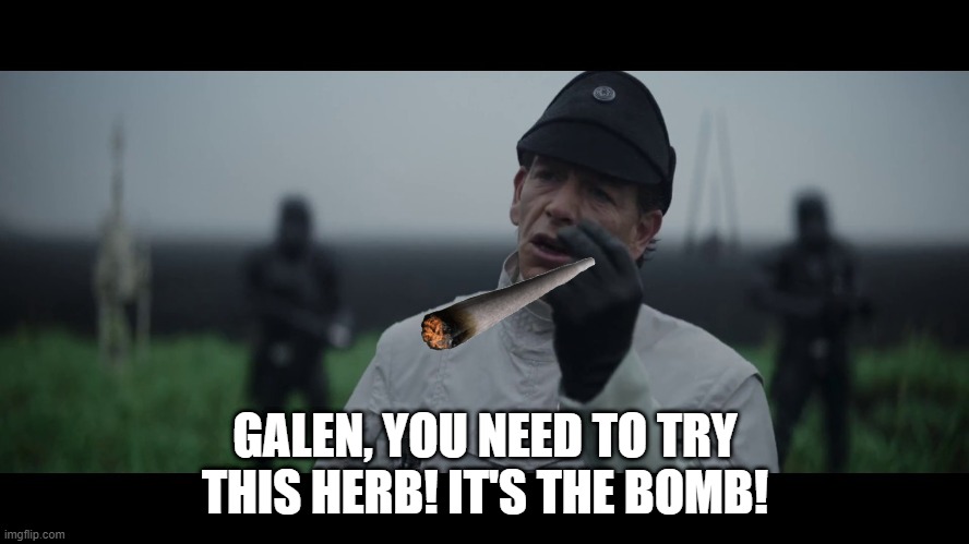 Chronic Krennic | GALEN, YOU NEED TO TRY THIS HERB! IT'S THE BOMB! | image tagged in verge of greatness | made w/ Imgflip meme maker