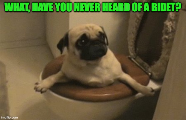 oops | WHAT, HAVE YOU NEVER HEARD OF A BIDET? | image tagged in oops | made w/ Imgflip meme maker