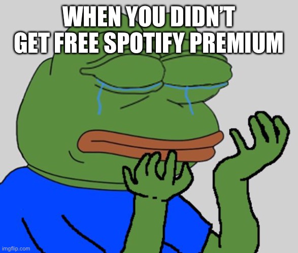 Sad meme | WHEN YOU DIDN’T GET FREE SPOTIFY PREMIUM | image tagged in sad meme | made w/ Imgflip meme maker