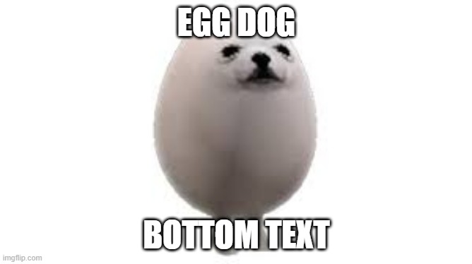e g g | EGG DOG; BOTTOM TEXT | image tagged in egg dog | made w/ Imgflip meme maker
