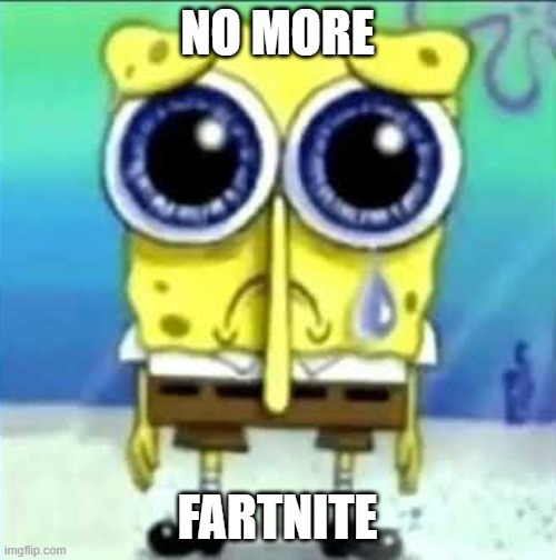 No more fortnite | NO MORE FARTNITE | image tagged in no more fortnite | made w/ Imgflip meme maker
