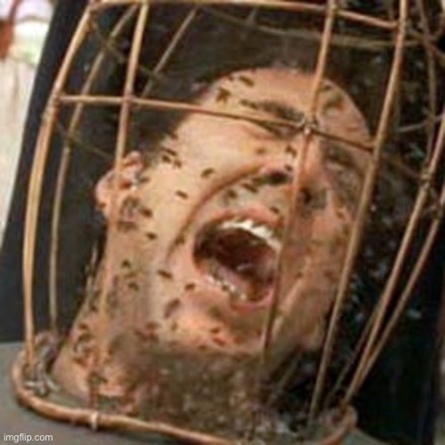 Not the Bees | image tagged in not the bees | made w/ Imgflip meme maker