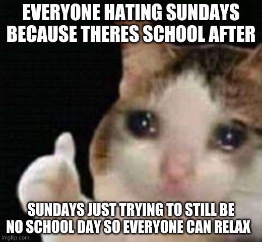 JUSTICE NEEDS TO BE SERVED | EVERYONE HATING SUNDAYS BECAUSE THERES SCHOOL AFTER; SUNDAYS JUST TRYING TO STILL BE NO SCHOOL DAY SO EVERYONE CAN RELAX | image tagged in approved crying cat | made w/ Imgflip meme maker
