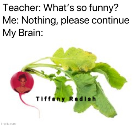 Tiffiany Radish | image tagged in teacher what's so funny | made w/ Imgflip meme maker