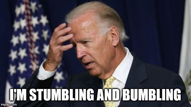 Joe Biden worries | I'M STUMBLING AND BUMBLING | image tagged in joe biden worries | made w/ Imgflip meme maker