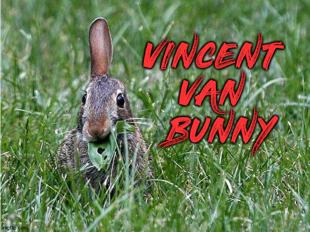 VINCENT 
VAN 
BUNNY | image tagged in bunnies | made w/ Imgflip meme maker