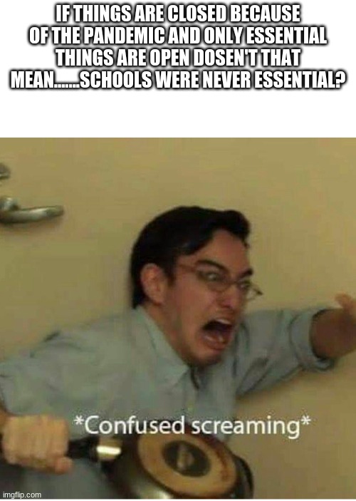 (i dont have a gmail im on a school chromebook for this entire thing :/ ) | IF THINGS ARE CLOSED BECAUSE OF THE PANDEMIC AND ONLY ESSENTIAL THINGS ARE OPEN DOESN'T THAT MEAN.......SCHOOLS WERE NEVER ESSENTIAL? | image tagged in confused screaming | made w/ Imgflip meme maker