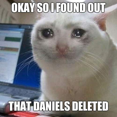 :( | OKAY SO I FOUND OUT; THAT DANIELS DELETED | image tagged in crying cat,sad | made w/ Imgflip meme maker