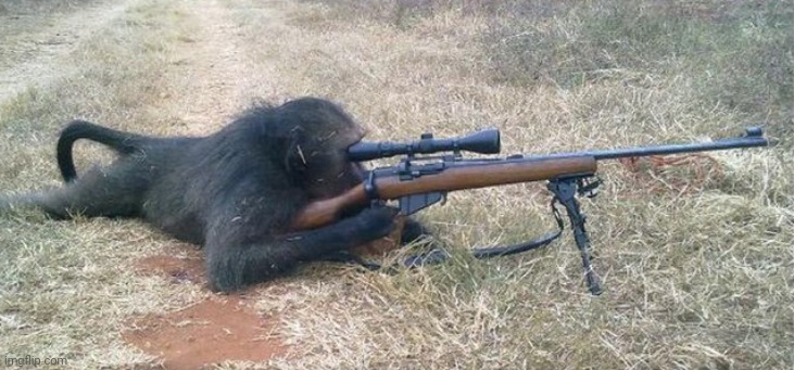 Sniper Monkey | image tagged in sniper monkey | made w/ Imgflip meme maker