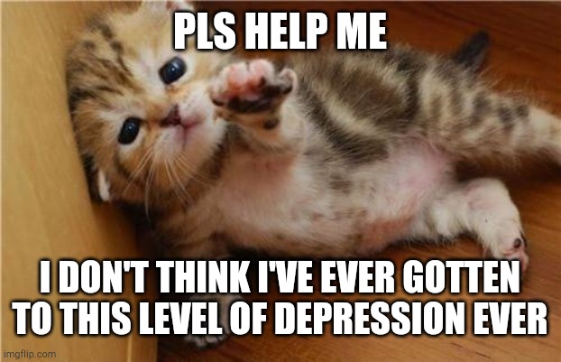 Help Me Kitten | PLS HELP ME; I DON'T THINK I'VE EVER GOTTEN TO THIS LEVEL OF DEPRESSION EVER | image tagged in help me kitten | made w/ Imgflip meme maker