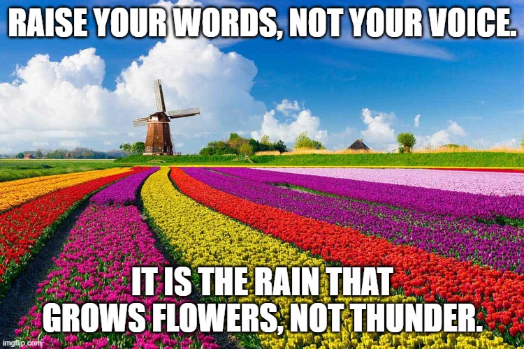 argumentative writing | RAISE YOUR WORDS, NOT YOUR VOICE. IT IS THE RAIN THAT GROWS FLOWERS, NOT THUNDER. | image tagged in writing,flowers | made w/ Imgflip meme maker