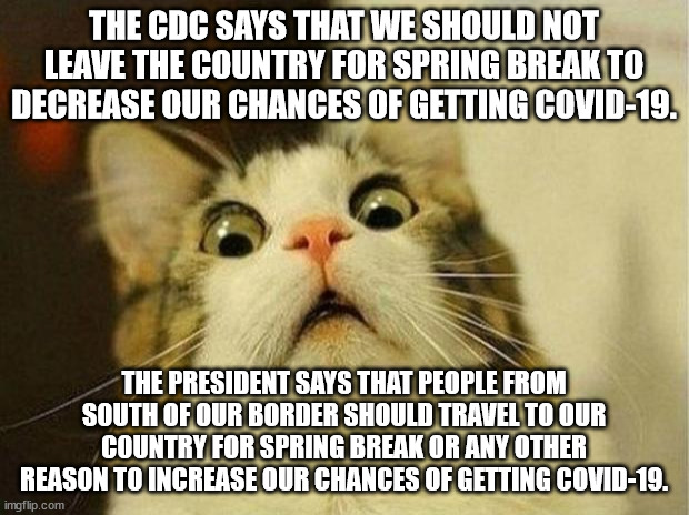 And increase our chances of getting measles, tuberculosis, polio and other diseases are making a comeback. | THE CDC SAYS THAT WE SHOULD NOT LEAVE THE COUNTRY FOR SPRING BREAK TO DECREASE OUR CHANCES OF GETTING COVID-19. THE PRESIDENT SAYS THAT PEOPLE FROM SOUTH OF OUR BORDER SHOULD TRAVEL TO OUR COUNTRY FOR SPRING BREAK OR ANY OTHER REASON TO INCREASE OUR CHANCES OF GETTING COVID-19. | image tagged in memes,scared cat,illegal immigration,disease,covid-19,biden's an idiot | made w/ Imgflip meme maker