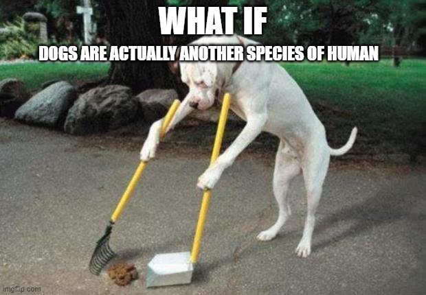 ???? | WHAT IF; DOGS ARE ACTUALLY ANOTHER SPECIES OF HUMAN | image tagged in dog poop | made w/ Imgflip meme maker