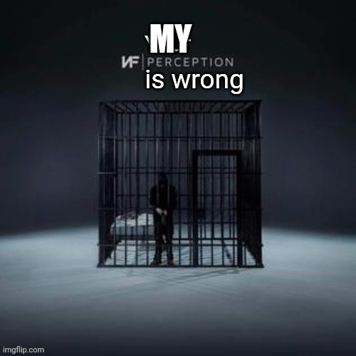 Your perception is wrong | MY | image tagged in your perception is wrong | made w/ Imgflip meme maker