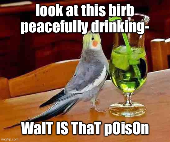 . | look at this birb peacefully drinking-; WaIT IS ThaT pOisOn | image tagged in big sip | made w/ Imgflip meme maker