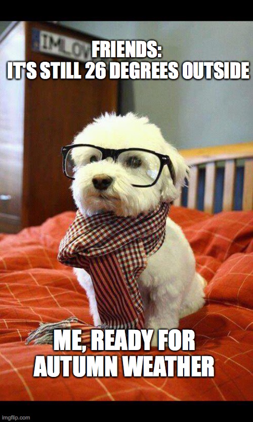 autumn dog | FRIENDS: 
IT'S STILL 26 DEGREES OUTSIDE; ME, READY FOR AUTUMN WEATHER | image tagged in memes,intelligent dog,autumn,fall,cold,cold weather | made w/ Imgflip meme maker