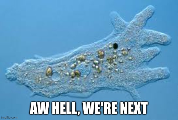 Amoeba | AW HELL, WE'RE NEXT | image tagged in amoeba | made w/ Imgflip meme maker