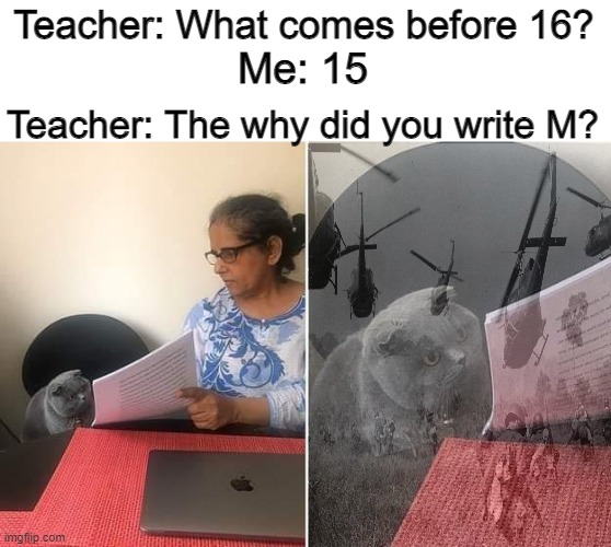 PTSD Cat | Teacher: What comes before 16? Me: 15; Teacher: The why did you write M? | image tagged in woman showing paper to cat,vietnam,cold war,military humor,memes | made w/ Imgflip meme maker