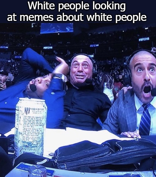 UFC flip out | White people looking at memes about white people | image tagged in ufc flip out | made w/ Imgflip meme maker