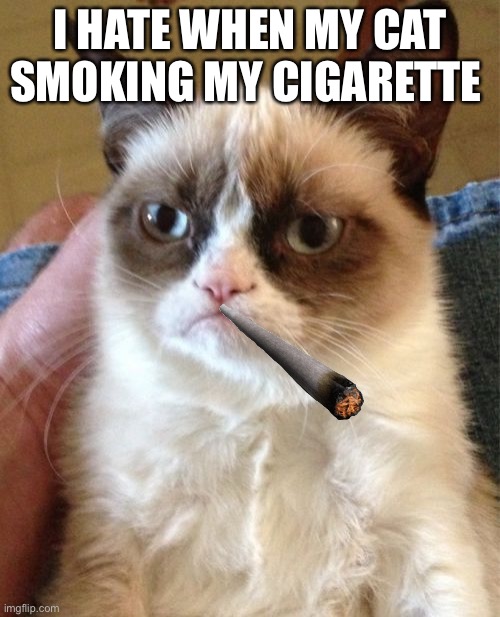 Grumpy Cat Meme | I HATE WHEN MY CAT SMOKING MY CIGARETTE | image tagged in memes,grumpy cat | made w/ Imgflip meme maker