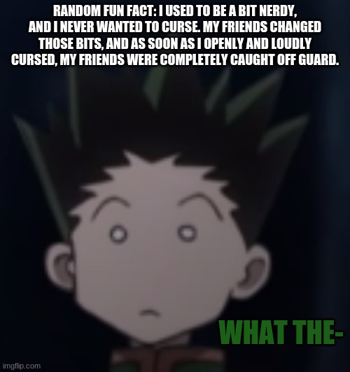 They just looked at me like "what the-" and we all laughed it off later. and now i'm a dumbass who curses a lot irl | RANDOM FUN FACT: I USED TO BE A BIT NERDY, AND I NEVER WANTED TO CURSE. MY FRIENDS CHANGED THOSE BITS, AND AS SOON AS I OPENLY AND LOUDLY CURSED, MY FRIENDS WERE COMPLETELY CAUGHT OFF GUARD. | image tagged in gon what the- | made w/ Imgflip meme maker