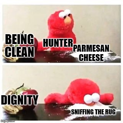 elmo cocaine | BEING CLEAN PARMESAN CHEESE HUNTER DIGNITY SNIFFING THE RUG | image tagged in elmo cocaine | made w/ Imgflip meme maker