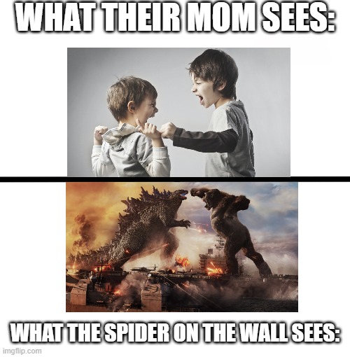 Don´t read this title | WHAT THEIR MOM SEES:; WHAT THE SPIDER ON THE WALL SEES: | image tagged in memes,blank starter pack | made w/ Imgflip meme maker