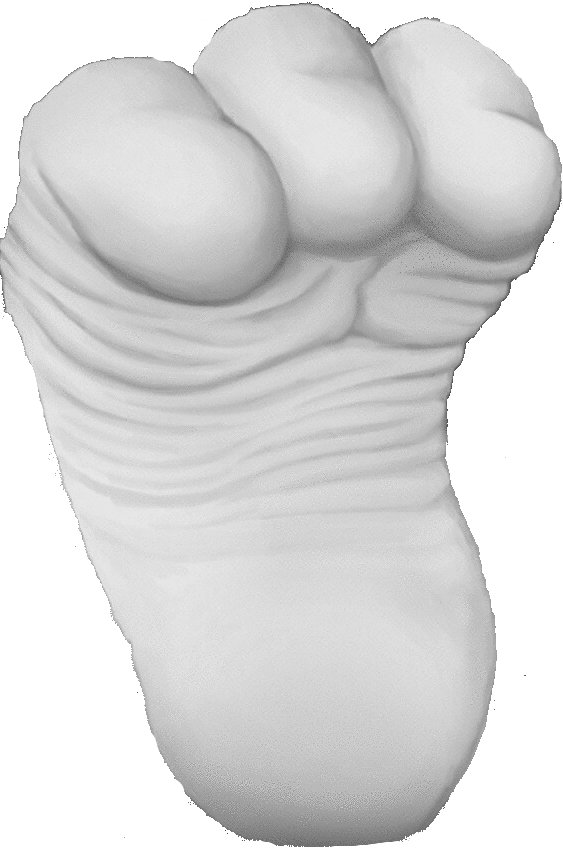 High Quality White Bunny Foot Blank Meme Template