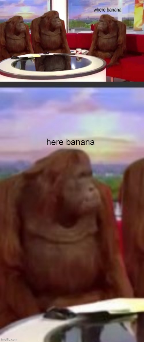 here | here banana | image tagged in memes | made w/ Imgflip meme maker