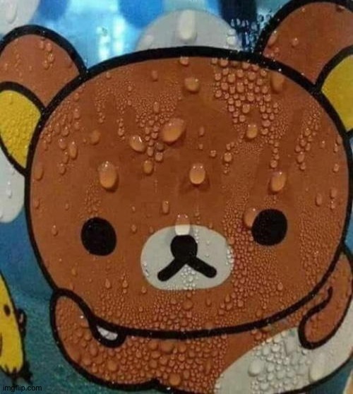 Bear sweating nervously | image tagged in bear sweating nervously | made w/ Imgflip meme maker