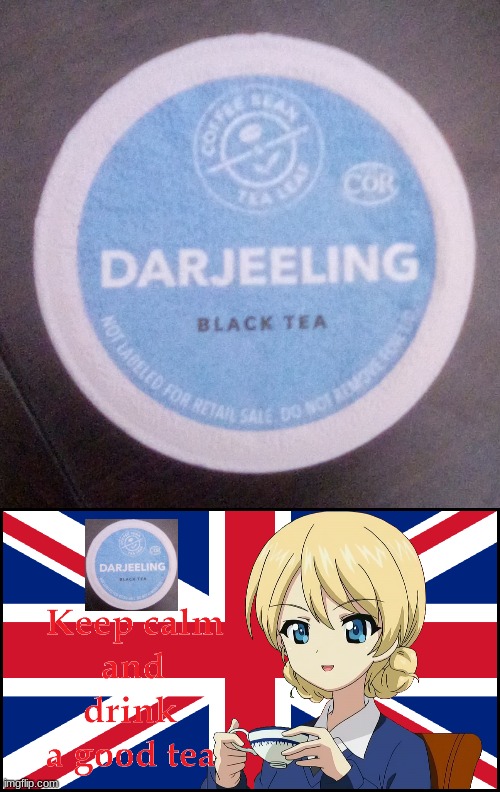 Found this on the hotel in Saturday | image tagged in girls und panzer,anime | made w/ Imgflip meme maker