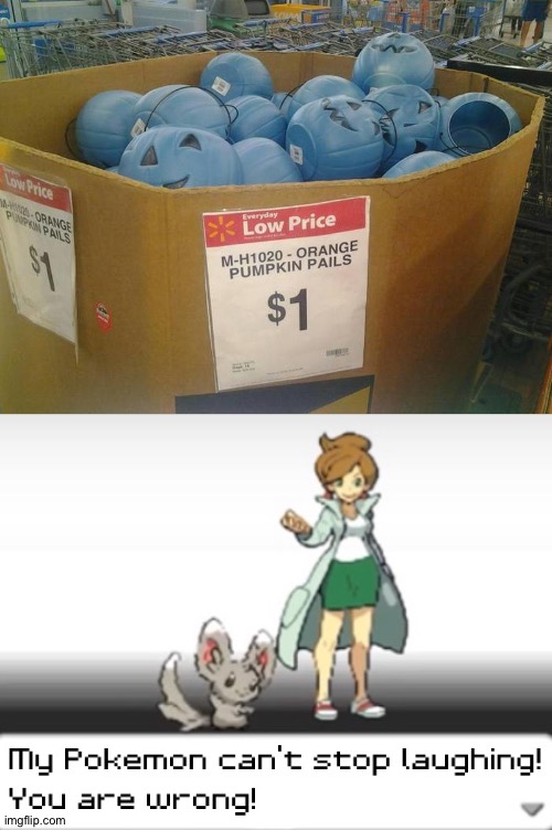They're blue pumpkins... (How is this template popular?!) | image tagged in my pokemon can't stop laughing you are wrong,funny,memes,you had one job,task failed successfully,funny memes | made w/ Imgflip meme maker