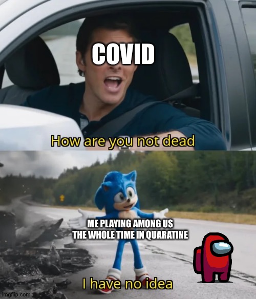 OOF covid | COVID; ME PLAYING AMONG US THE WHOLE TIME IN QUARATINE | image tagged in sonic i have no idea | made w/ Imgflip meme maker