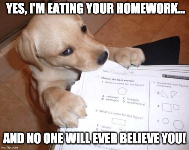 dog eating homework meme