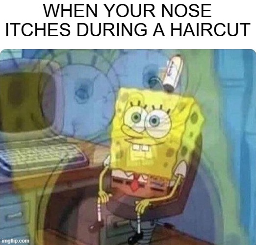 spongebob screaming inside | WHEN YOUR NOSE ITCHES DURING A HAIRCUT | image tagged in spongebob screaming inside | made w/ Imgflip meme maker