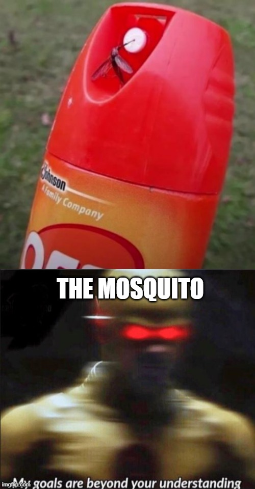 Mosquito plus | THE MOSQUITO | image tagged in mosquito,my goals are beyond your understanding | made w/ Imgflip meme maker