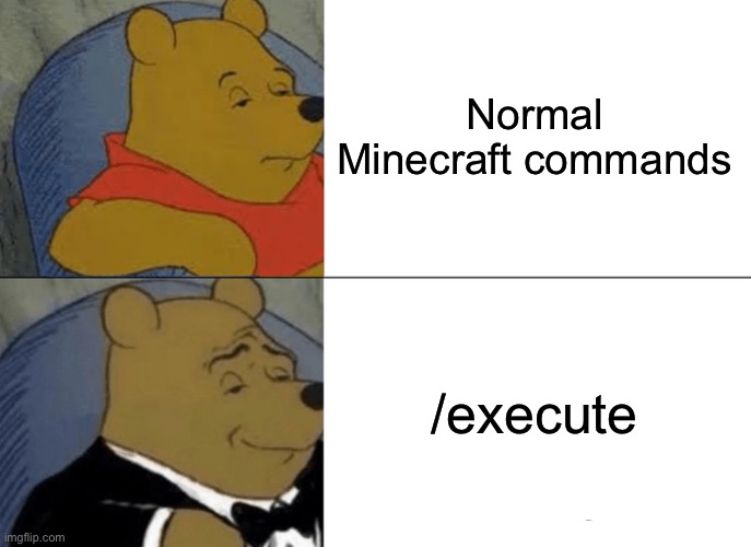 Who uses Normal Minecraft Commands | Normal Minecraft commands; /execute | image tagged in memes,tuxedo winnie the pooh | made w/ Imgflip meme maker