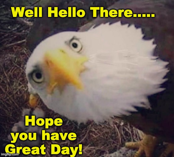 Hello There | Well Hello There..... Hope you have Great Day! | image tagged in have a nice day,happy,spring,hello there | made w/ Imgflip meme maker