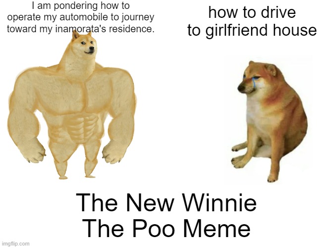 Too bad I don't have a girlfriend | I am pondering how to operate my automobile to journey toward my inamorata's residence. how to drive to girlfriend house; The New Winnie The Poo Meme | image tagged in memes,buff doge vs cheems,fancy winnie the pooh meme | made w/ Imgflip meme maker