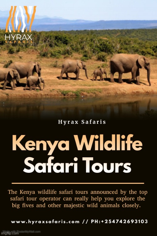 Kenya Wildlife Safari Tours | image tagged in cheap masai mara safari packages,best kenya safari tours,kenya wildlife safari packages | made w/ Imgflip meme maker