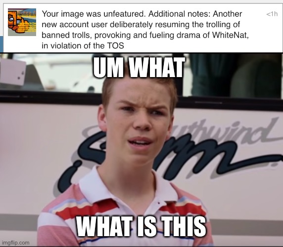 Plz explain | UM WHAT; WHAT IS THIS | image tagged in you guys are getting paid,plz explain | made w/ Imgflip meme maker