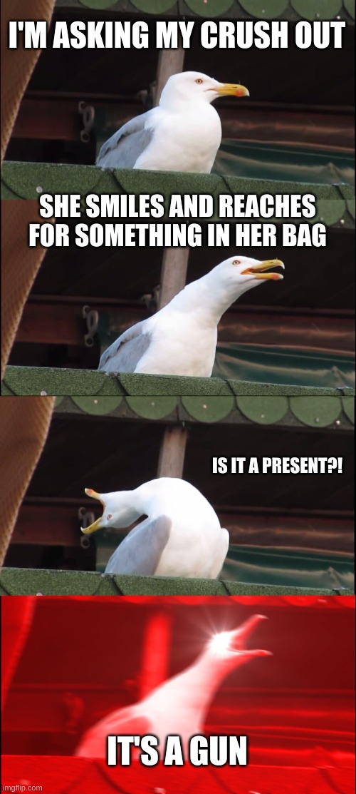 quiet kid |  I'M ASKING MY CRUSH OUT; SHE SMILES AND REACHES FOR SOMETHING IN HER BAG; IS IT A PRESENT?! IT'S A GUN | image tagged in memes,inhaling seagull,crush,confession,bruh | made w/ Imgflip meme maker