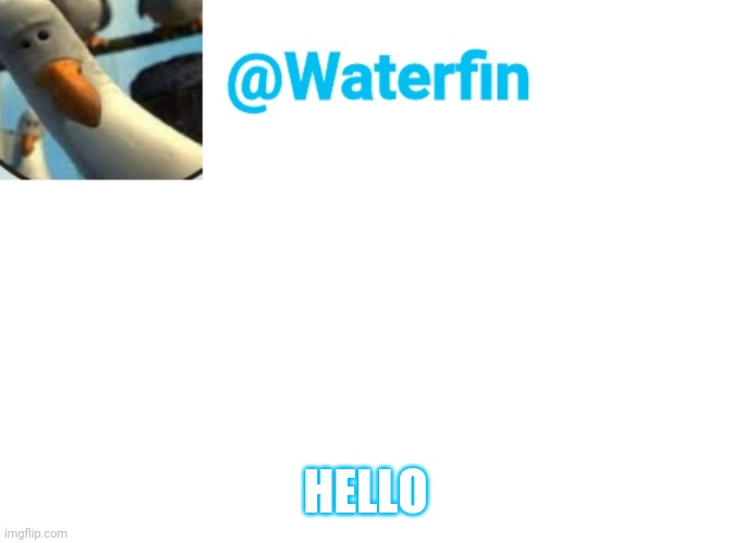 Waterfin Template | HELLO | image tagged in waterfin template | made w/ Imgflip meme maker