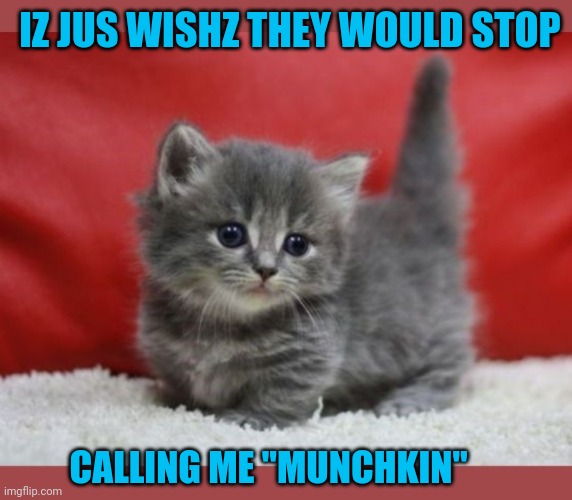 Kitty not amused | IZ JUS WISHZ THEY WOULD STOP; CALLING ME "MUNCHKIN" | image tagged in cute kittens | made w/ Imgflip meme maker